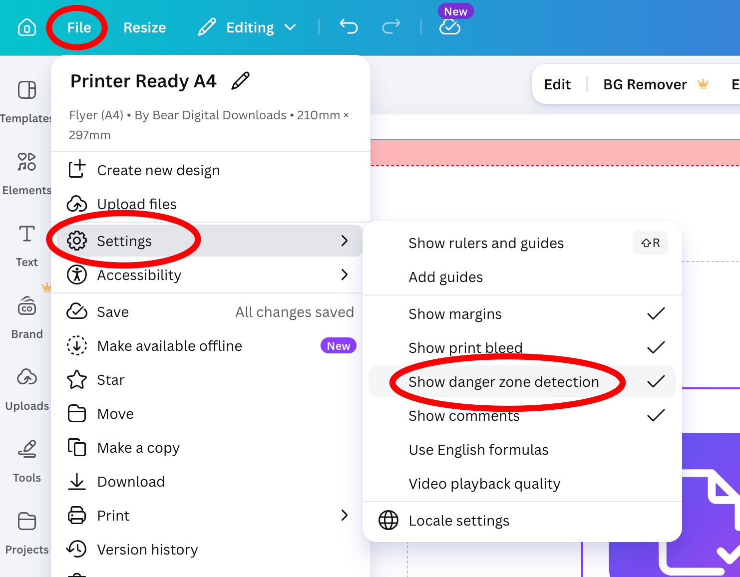 Screenshot of Canva's File menu with Settings expanded and Show danger zone detection highlighted